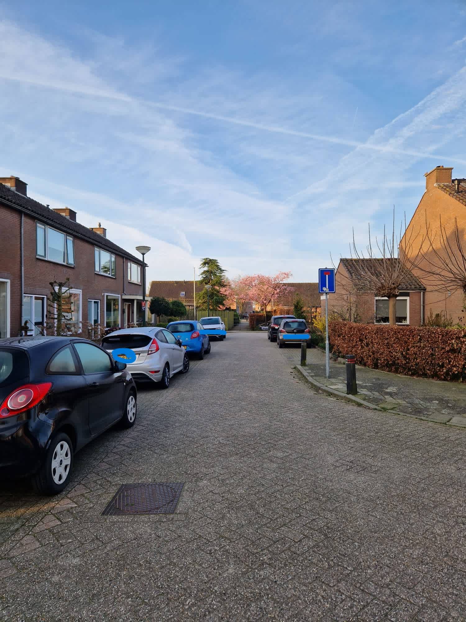 Rhijnesteinstraat 13 - Cothen