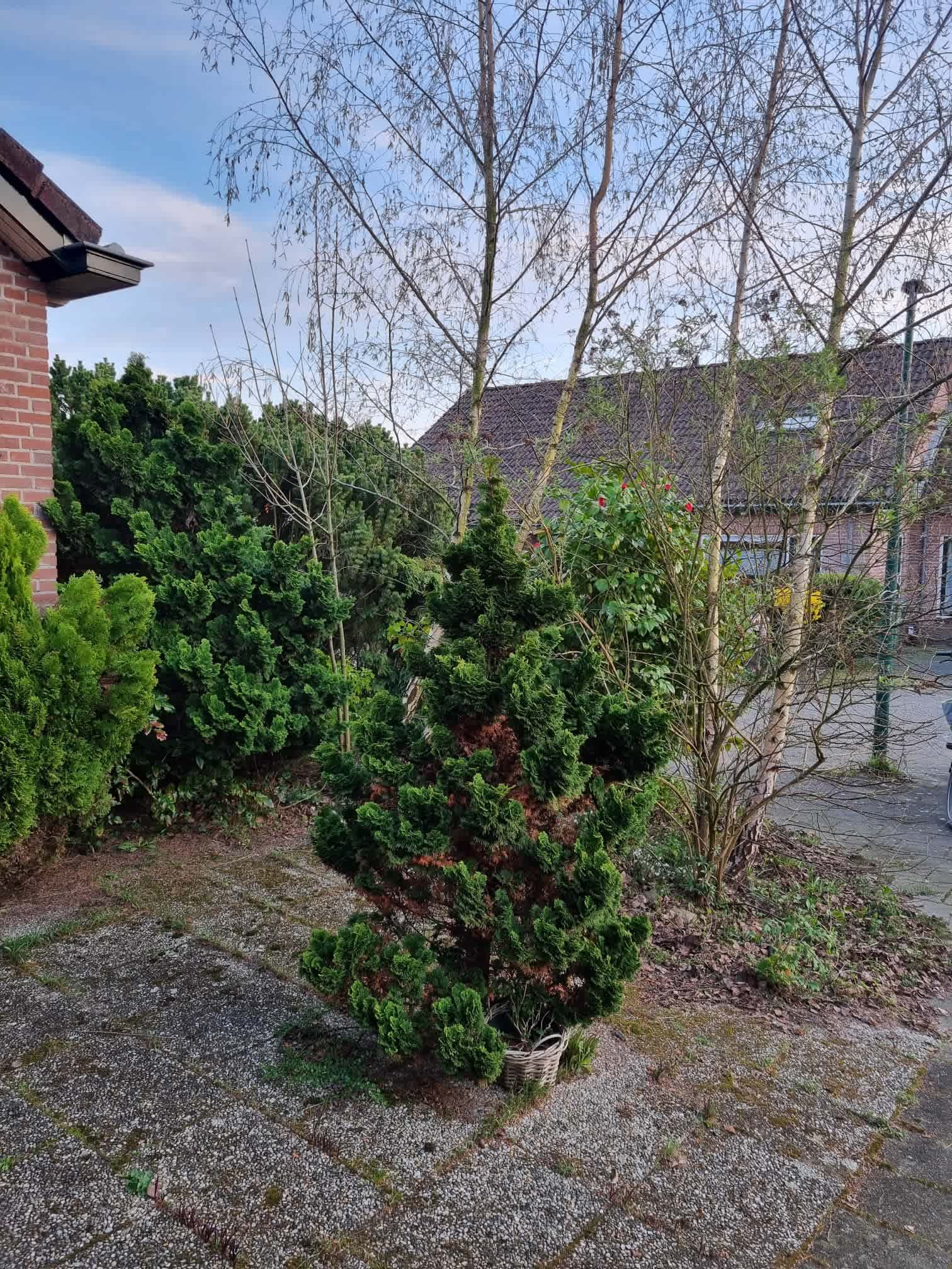 Meester Bosweg 33 - Leersum