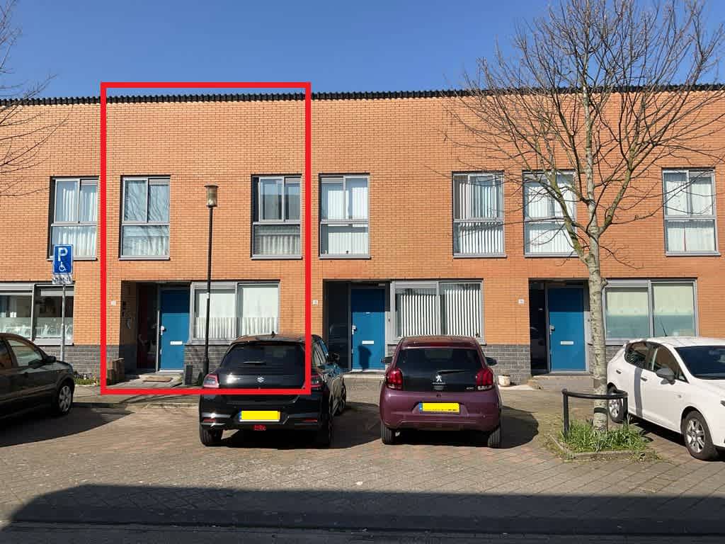 Syltpier 20 - Zaandam