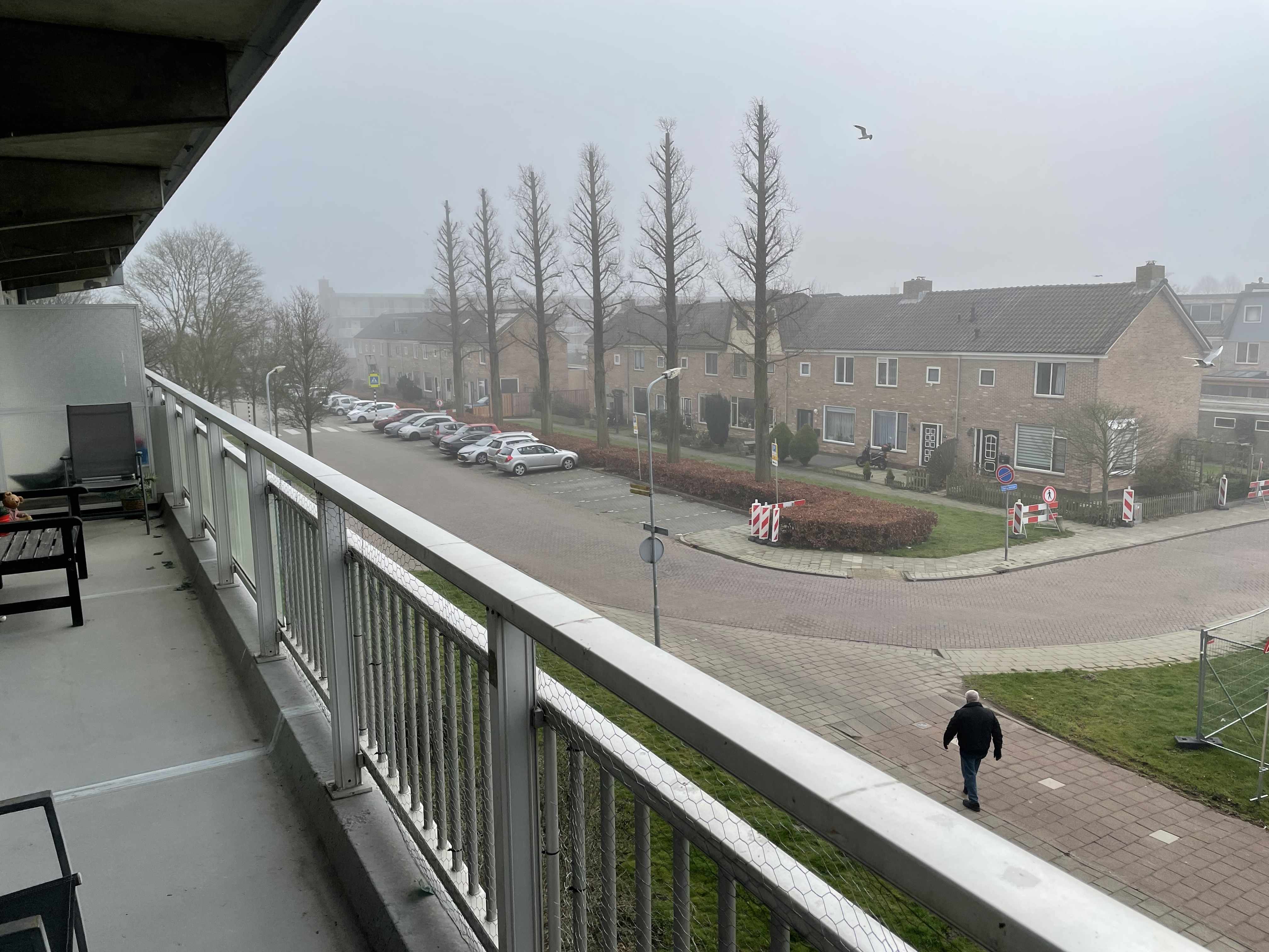 Koningsvarenstraat 236 - Wormer