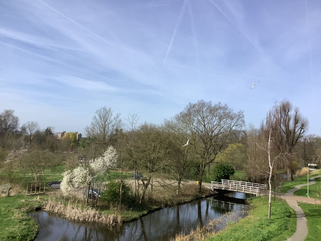 De Savornin Lohmanweg 44C - Alblasserdam