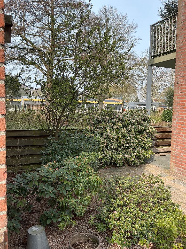 Brunellaan 81 - Leerdam