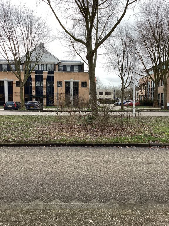 De Molen 43h - Houten