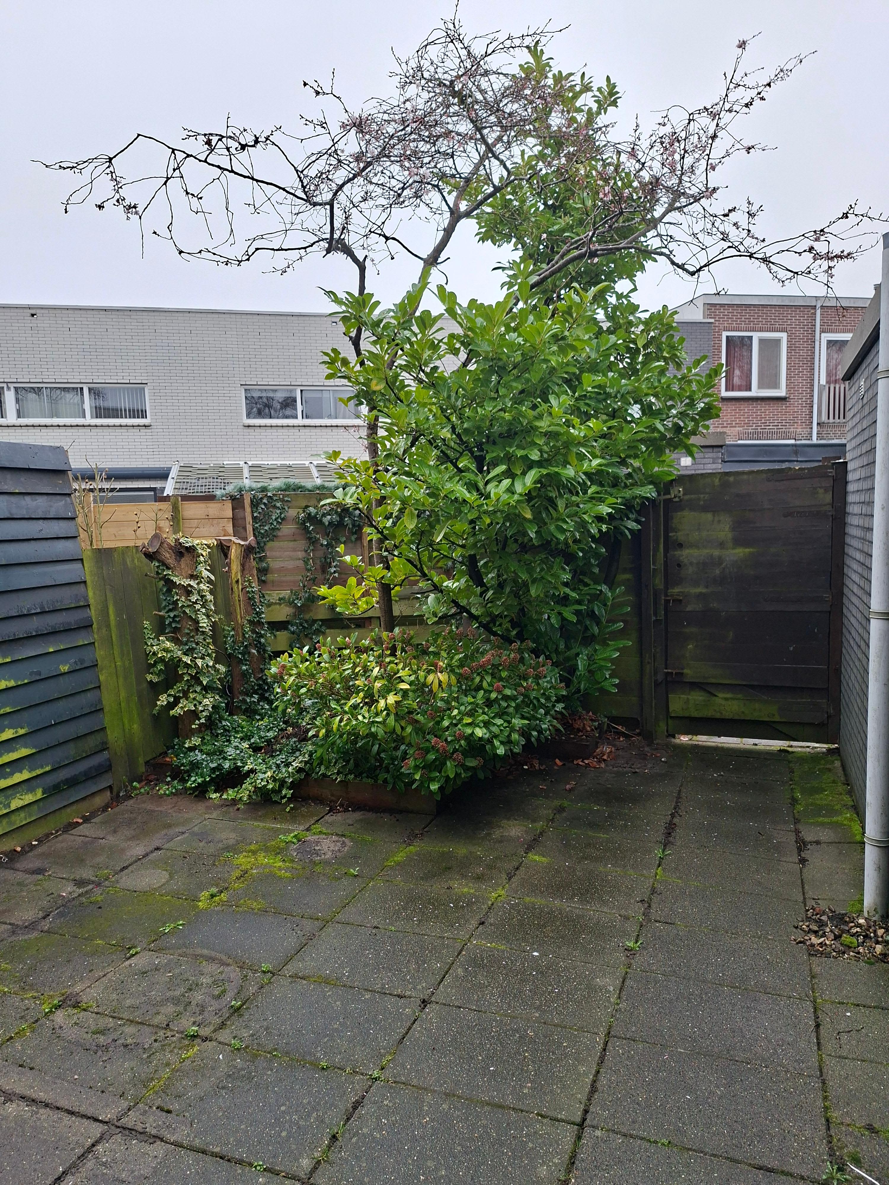 Nagtzaamstraat 56 - Haarlem