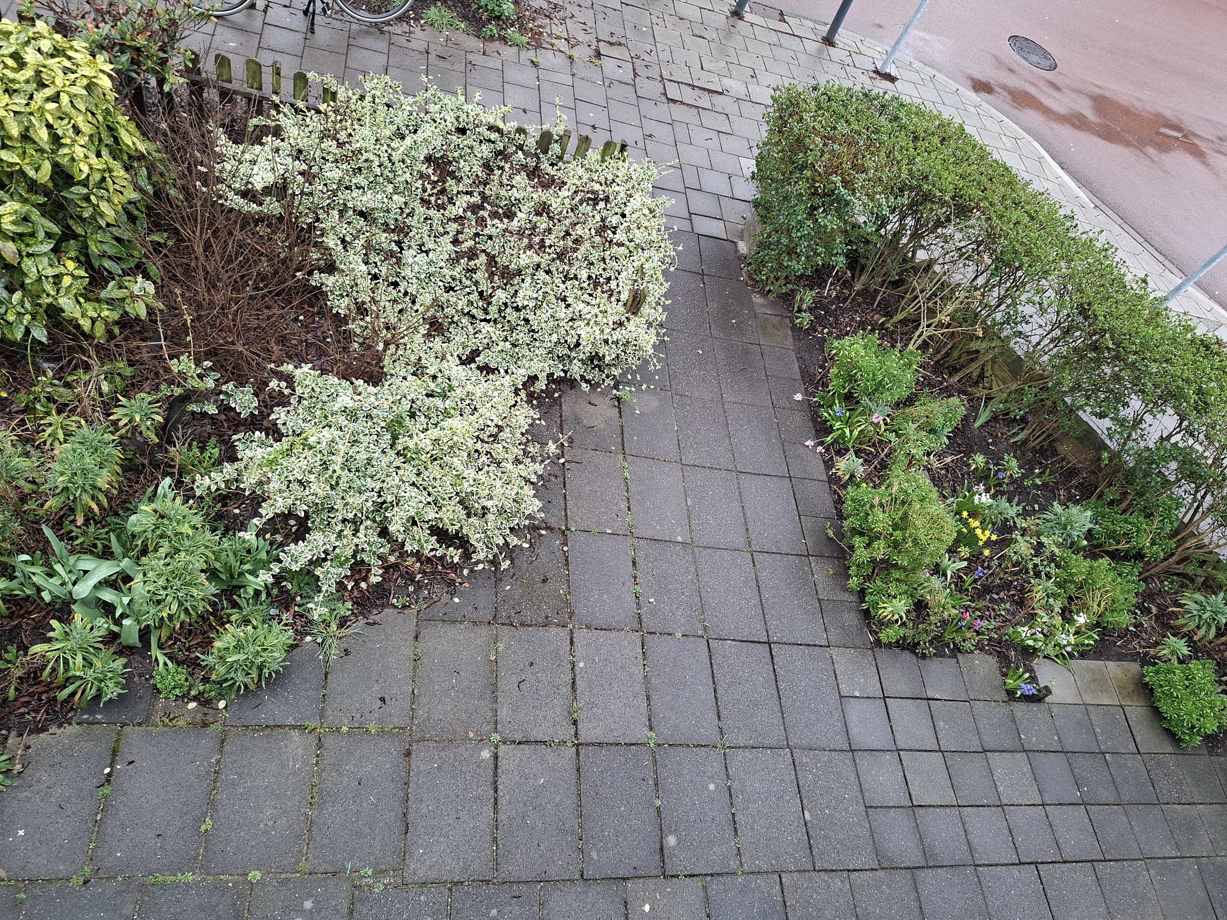 Nagtzaamstraat 56 - Haarlem