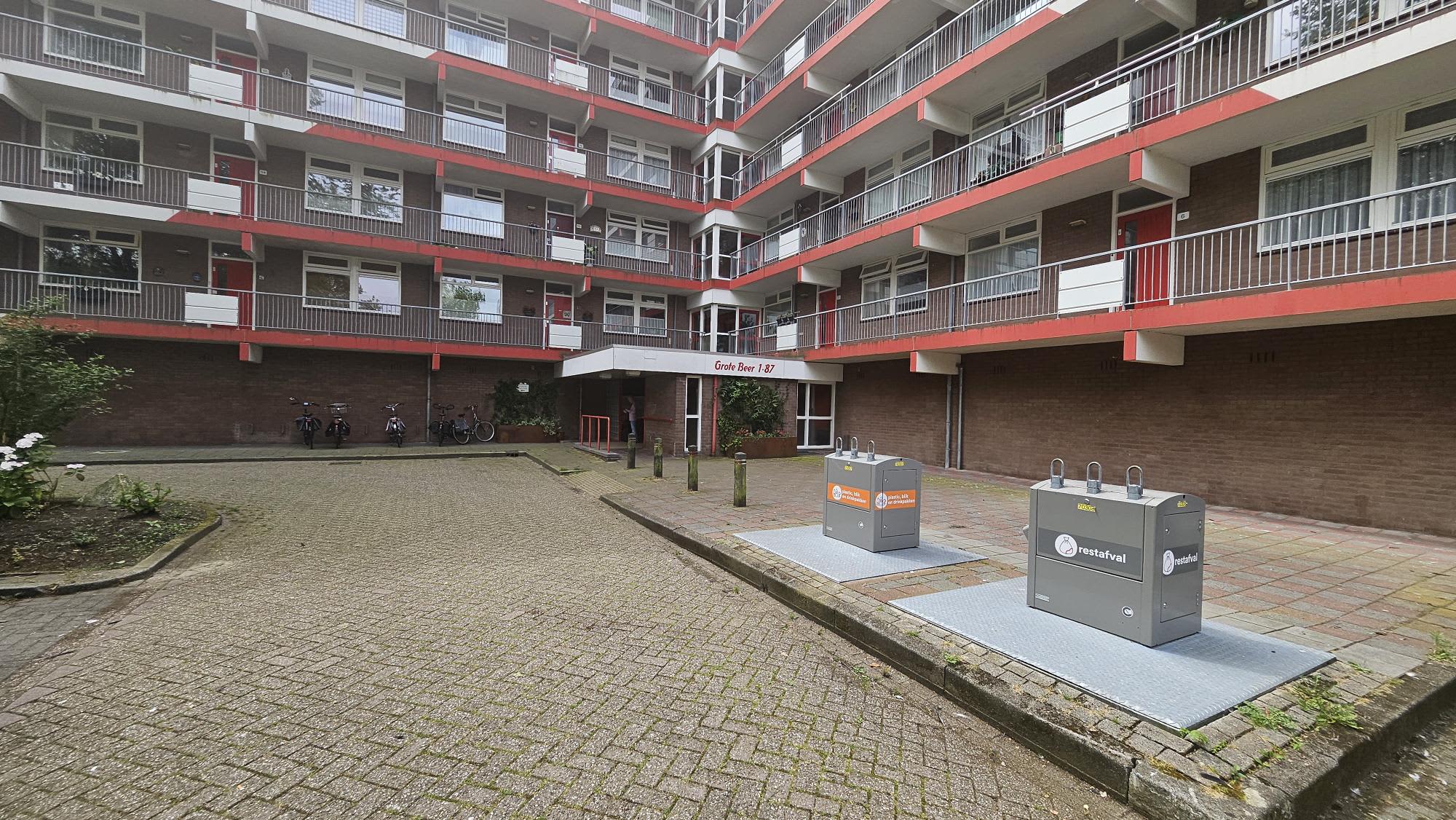 Grote Beer 86 - Krommenie