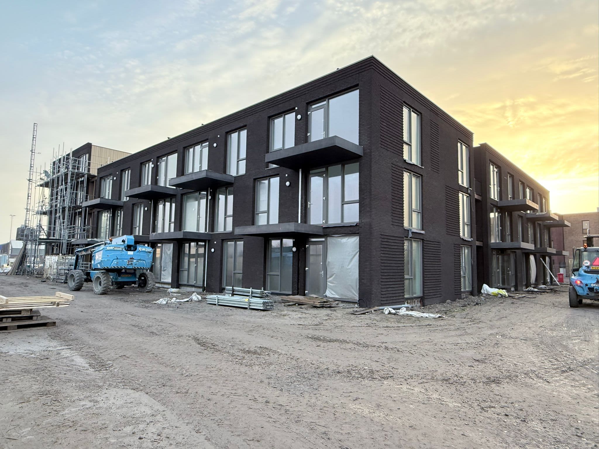 Lavendel 1 - Zevenhuizen