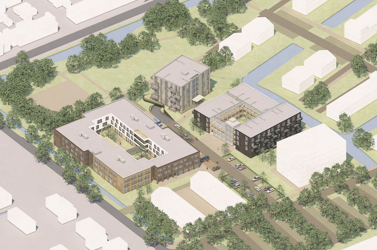 Lavendel 1 - Zevenhuizen