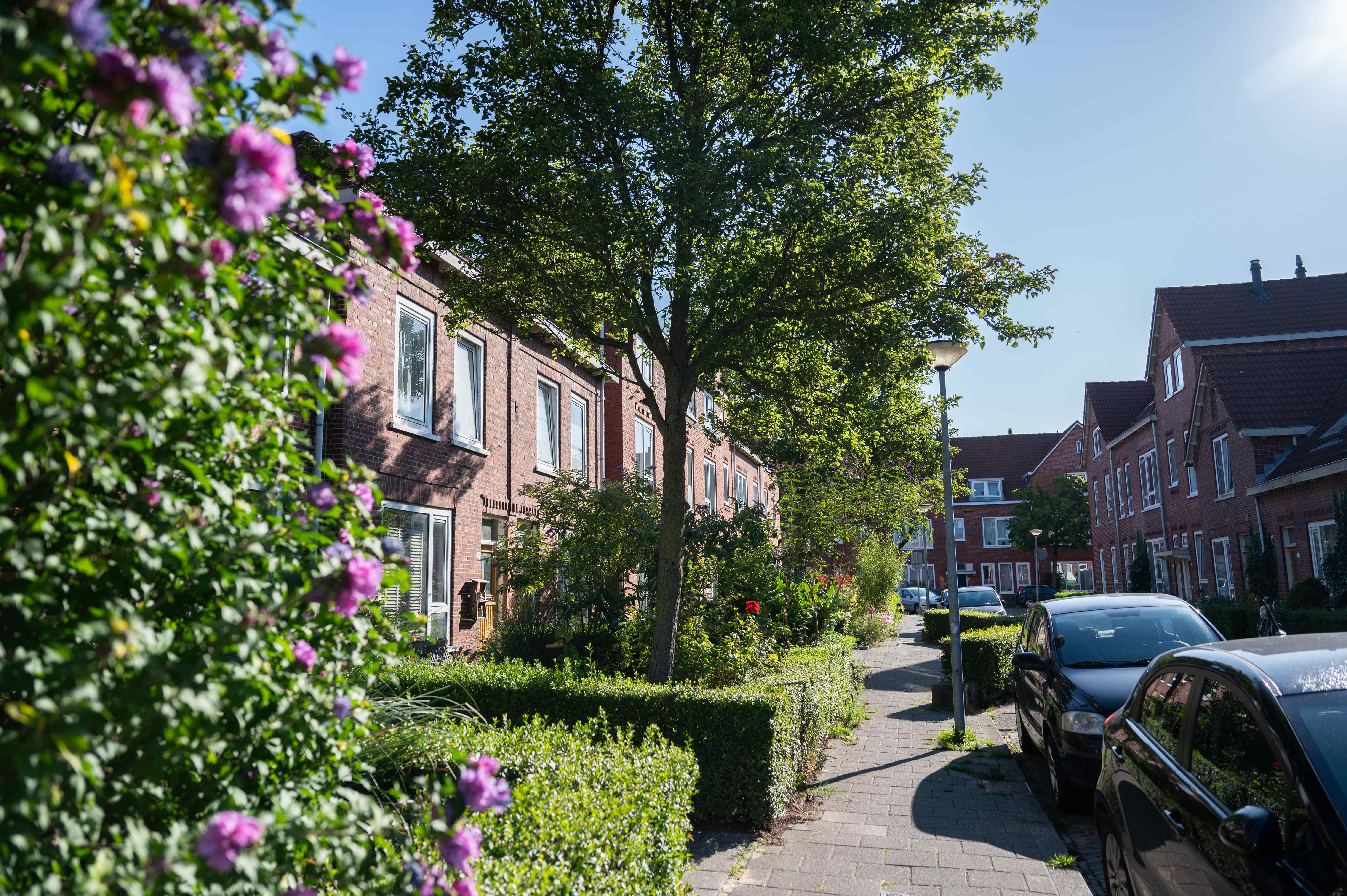 Graaf Adolfstraat 5 - Groningen