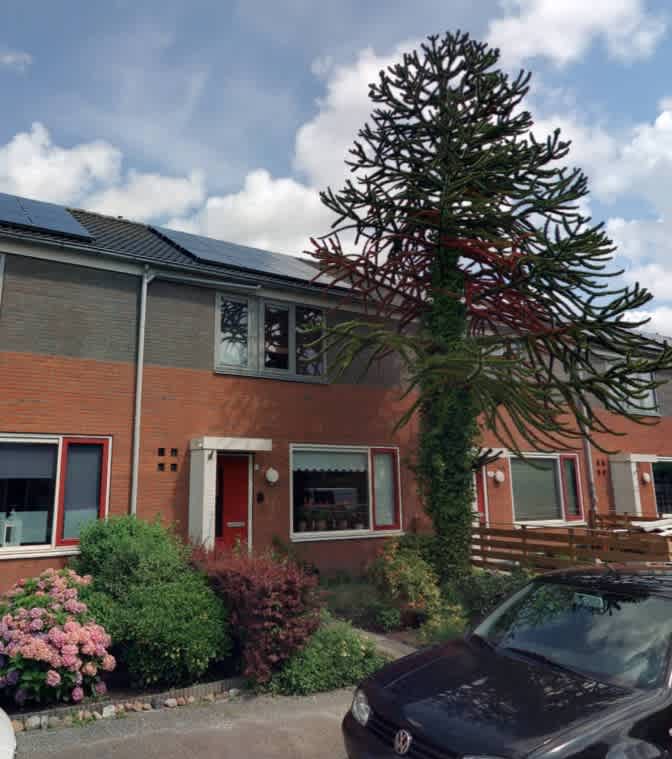 Zwanebloemweg 6 - Haren Gn