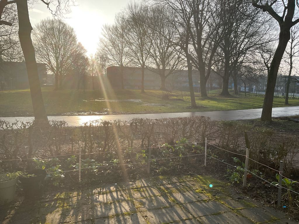 Zeevaarthof 191 - Amsterdam