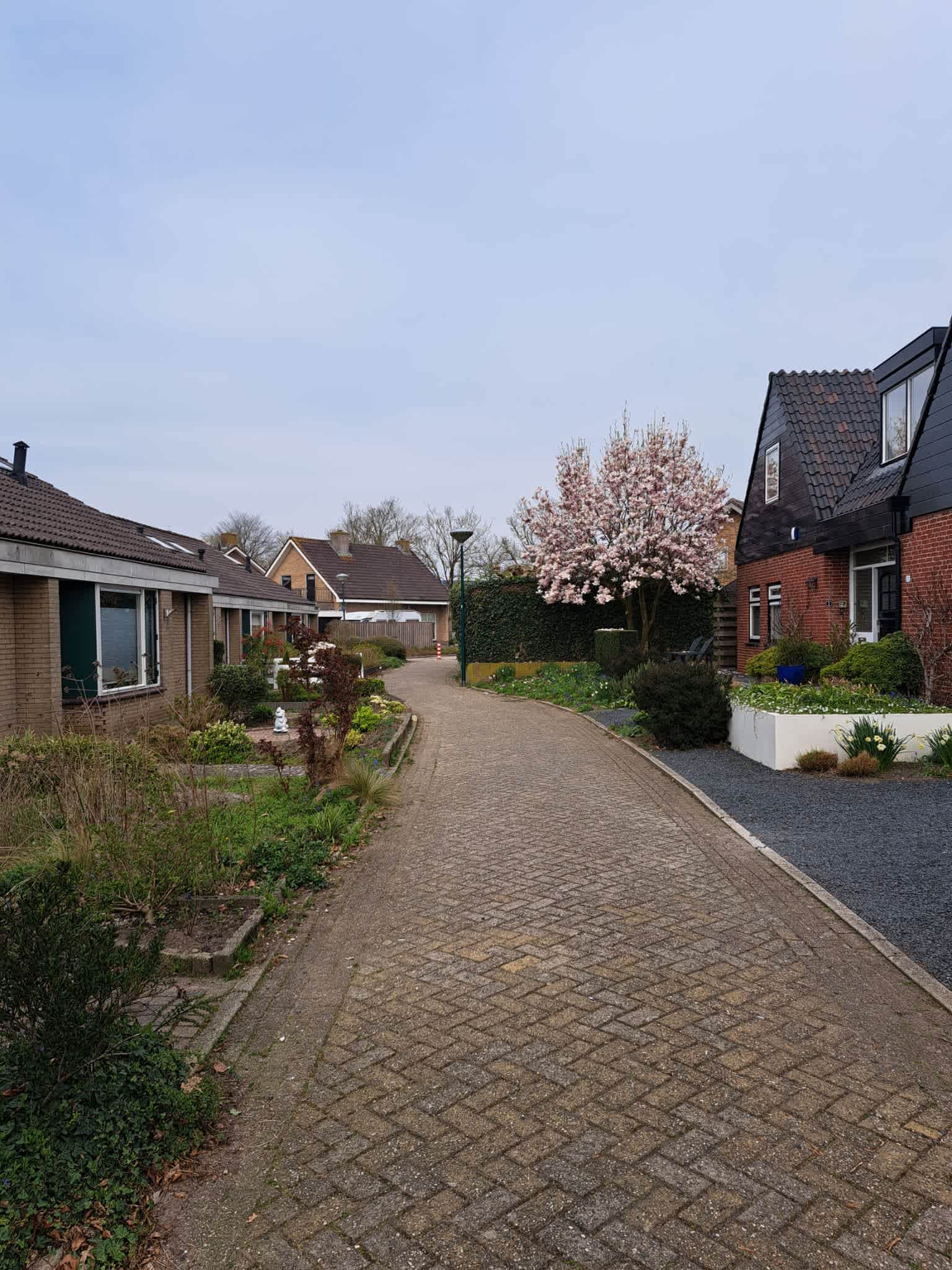 Buschgensstraat 3 - Cothen