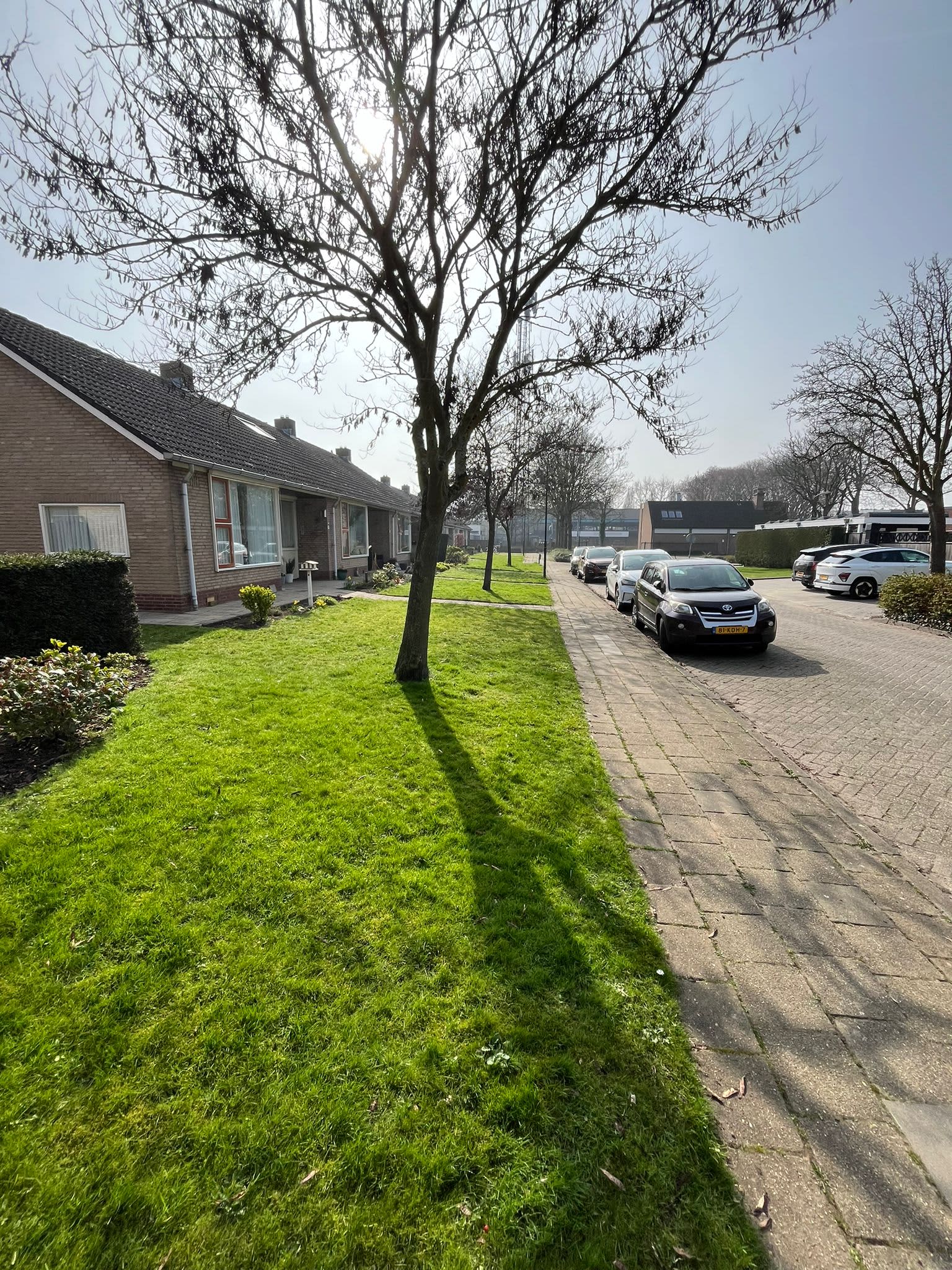 Almsvoet 5 - Werkendam