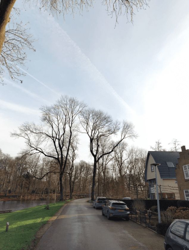 Marten van Rossemsingel 71 - Zaltbommel