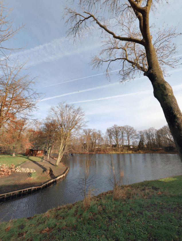 Marten van Rossemsingel 71 - Zaltbommel