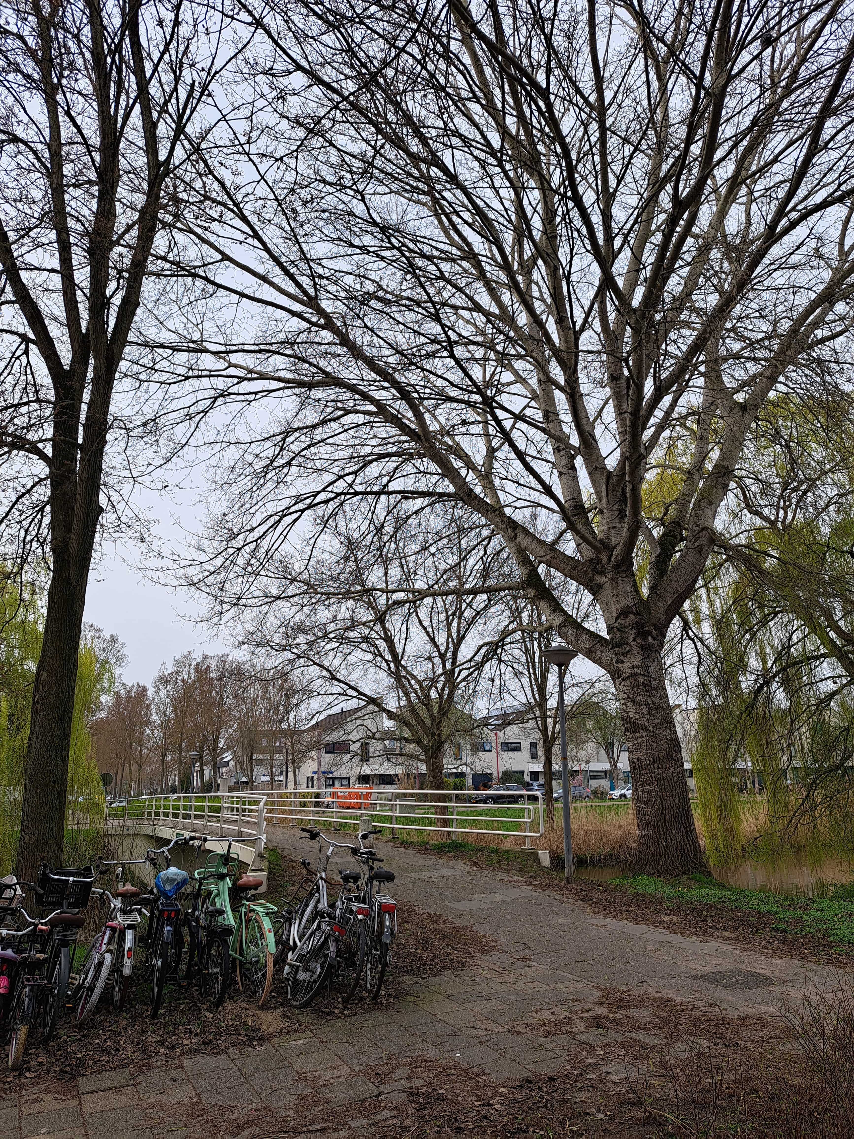 Clingendaellaan 247 - Almere