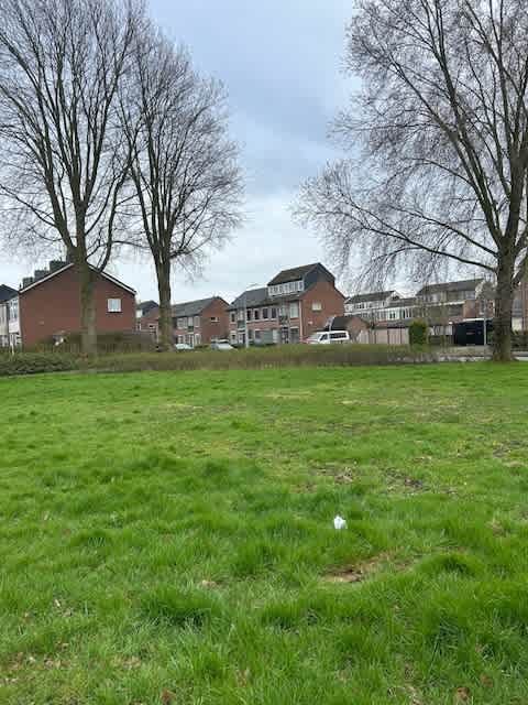 Verremeer 31 - Rijsenhout