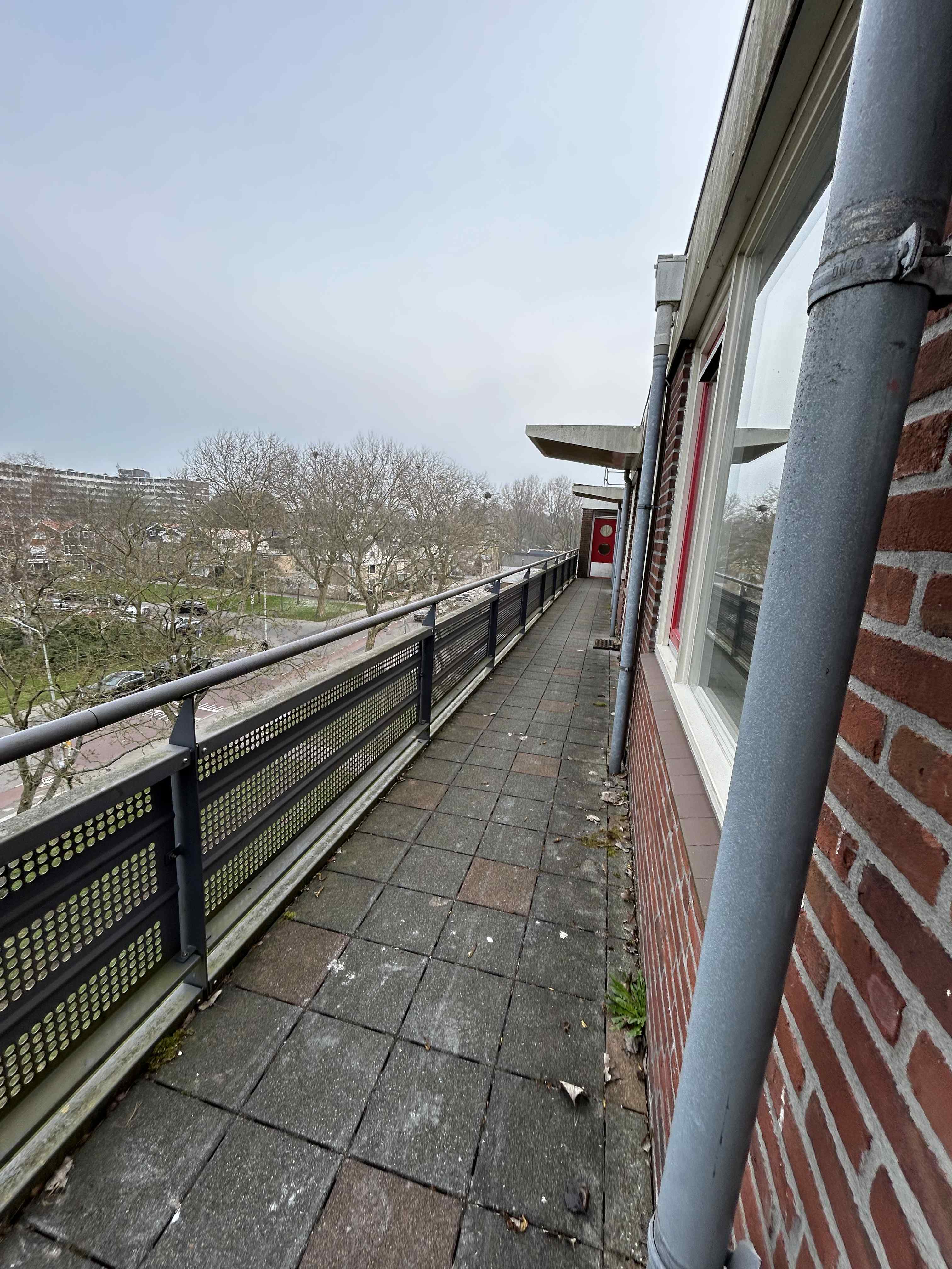 Koekoeksbloemweg 77 - Zaandam