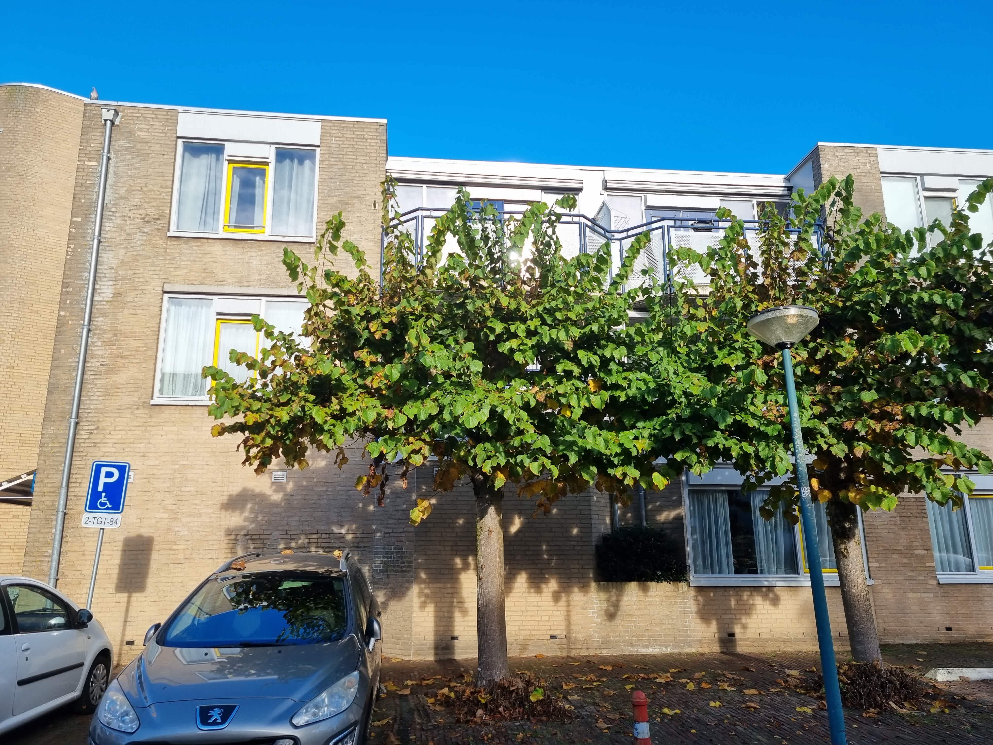 De Prins 44 - Driebergen-Rijsenburg