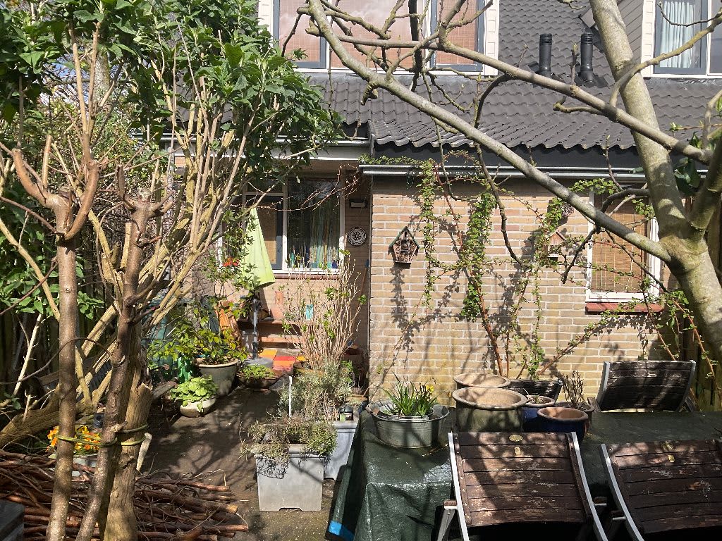 Sleutelbloem 63 - Culemborg