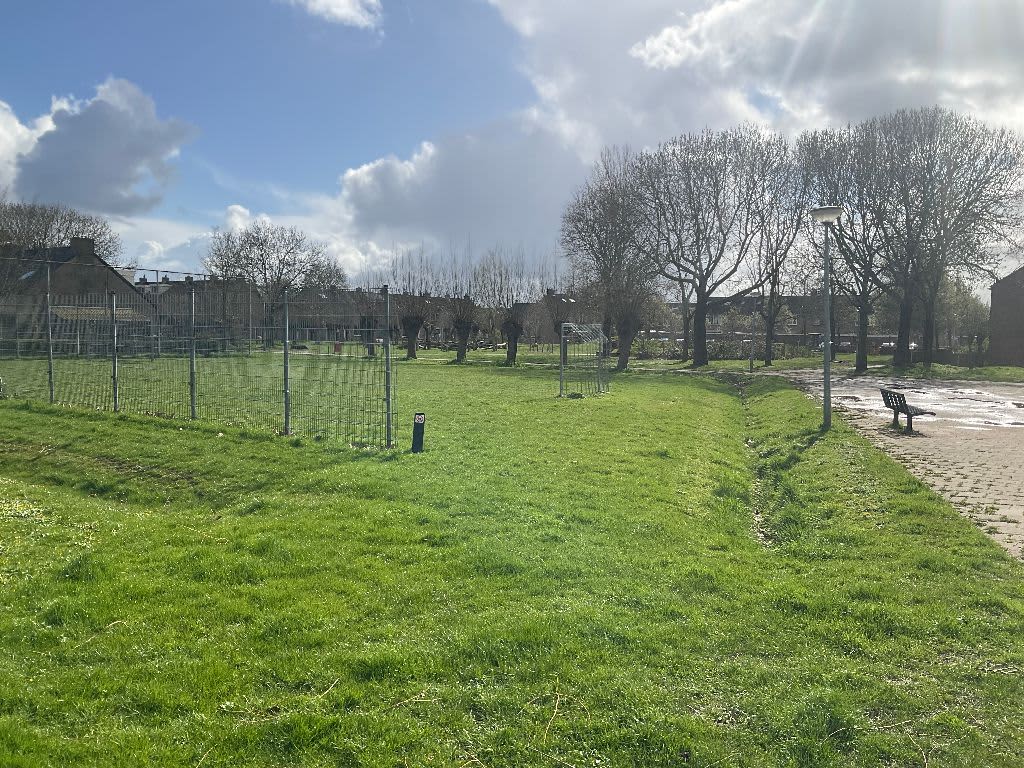 Sleutelbloem 63 - Culemborg