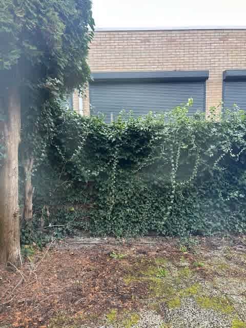 Edelmanstraat 31 - Nieuw-Vennep