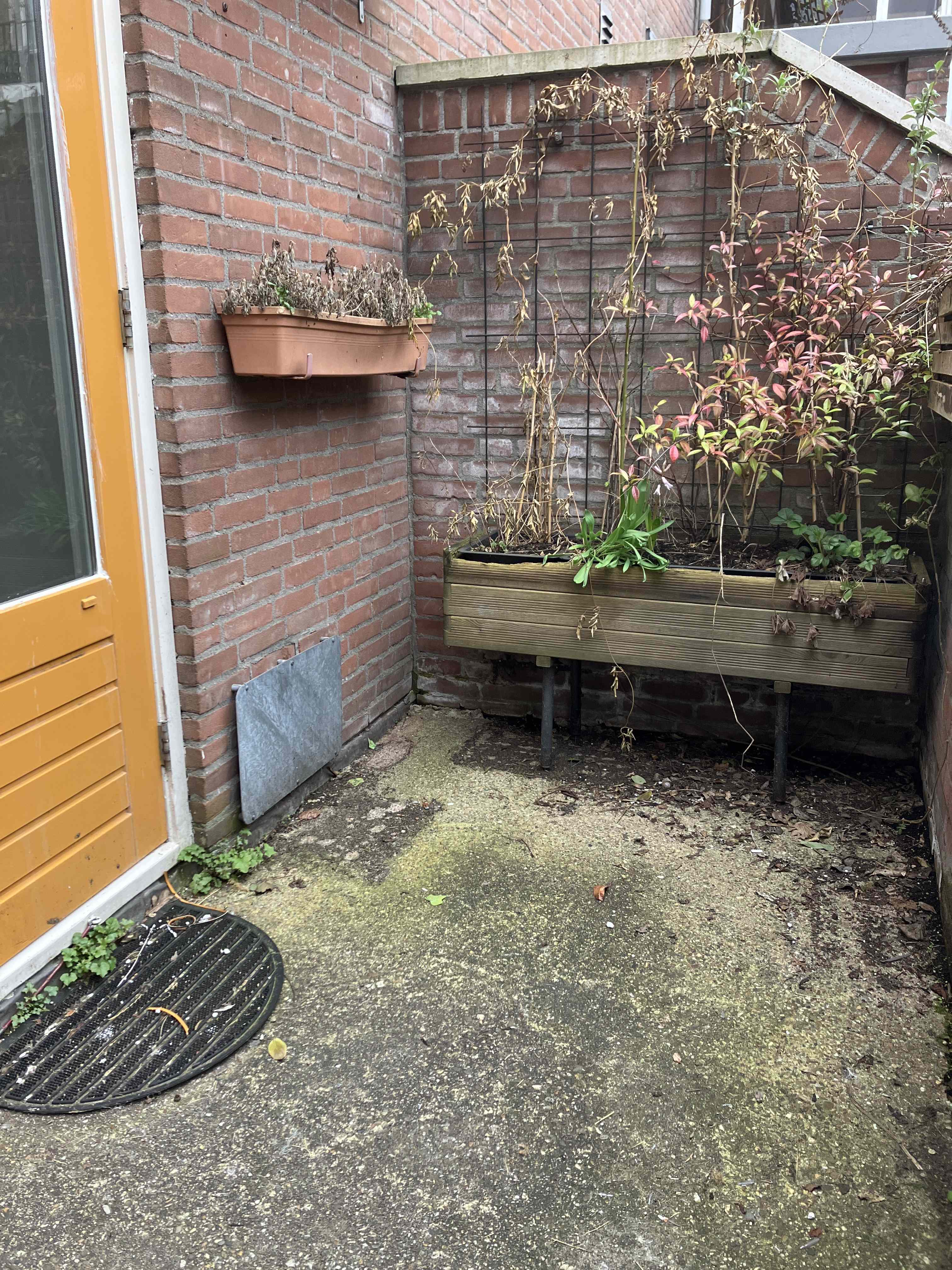 Pausgang 29 - Groningen