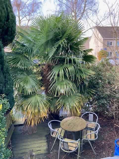 Suzette Noiretstraat 30 - Haarlem