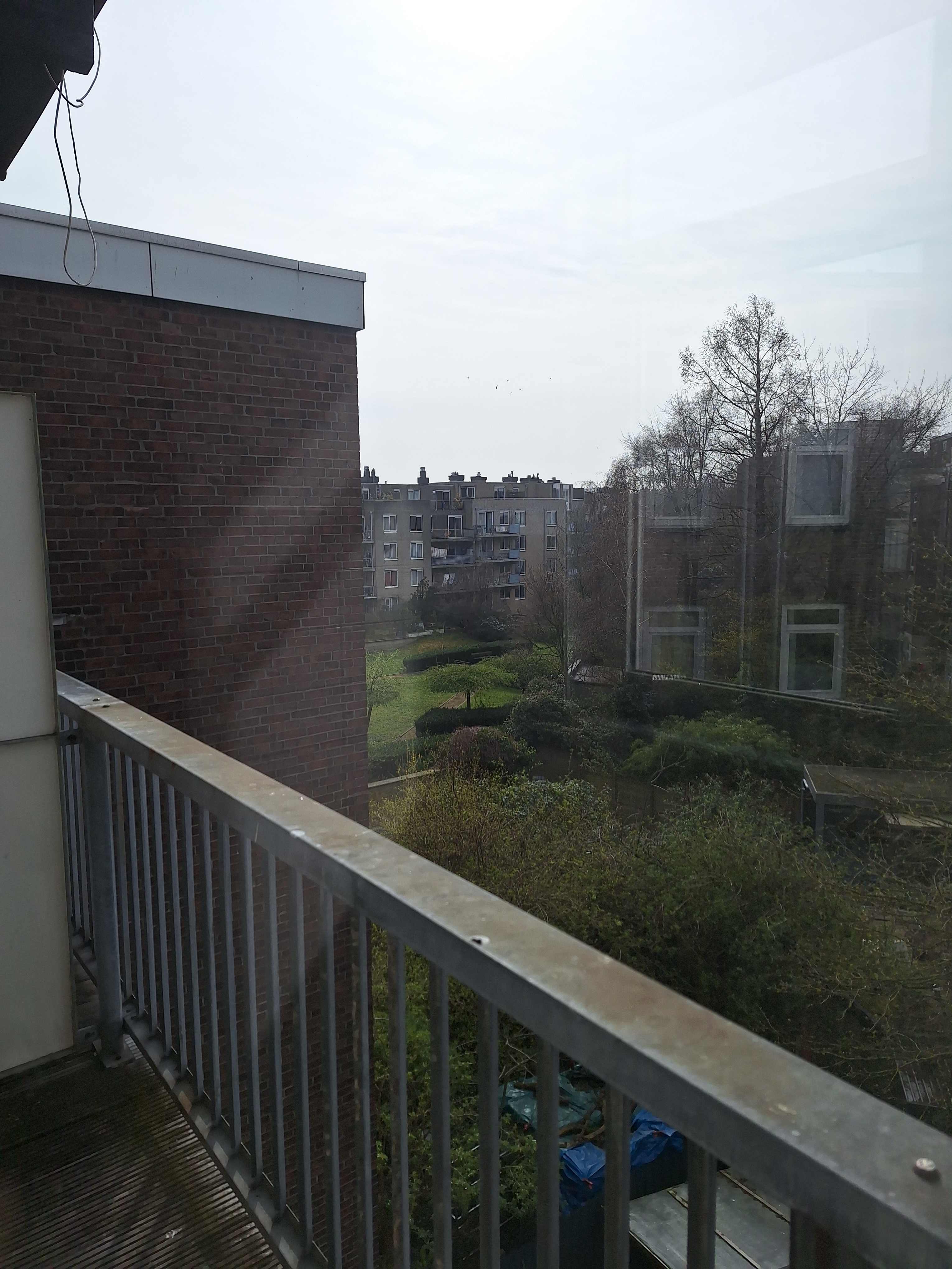 Nova Zemblastraat 537 - Amsterdam