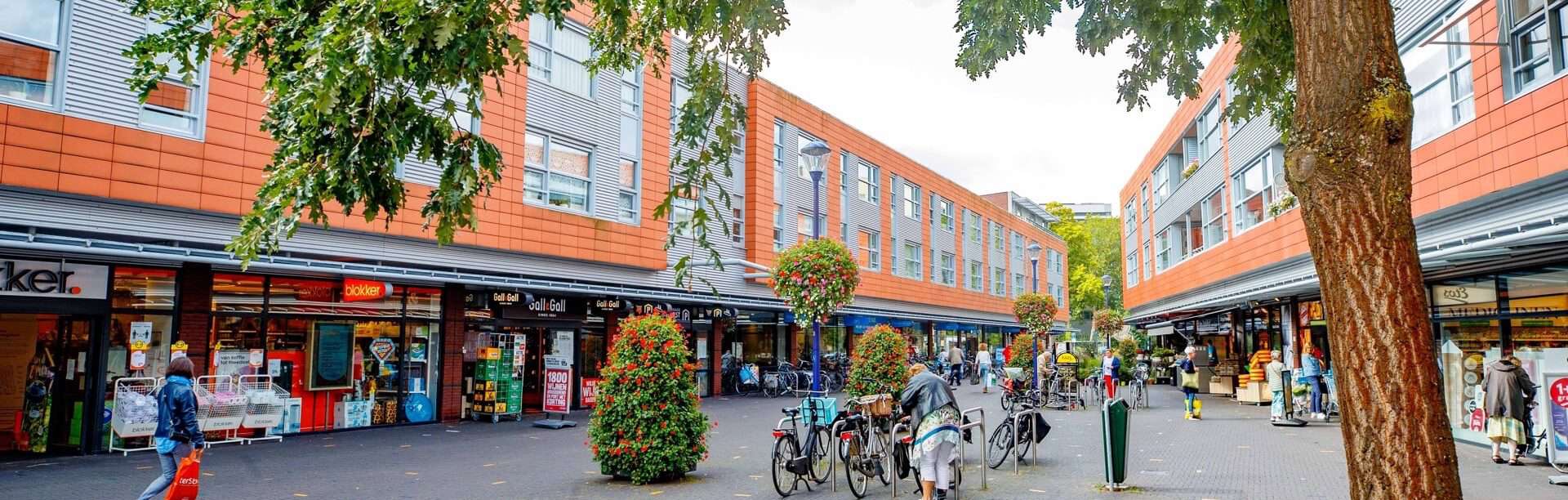 Jan van der Heijdenstraat 168D-4 - Hilversum