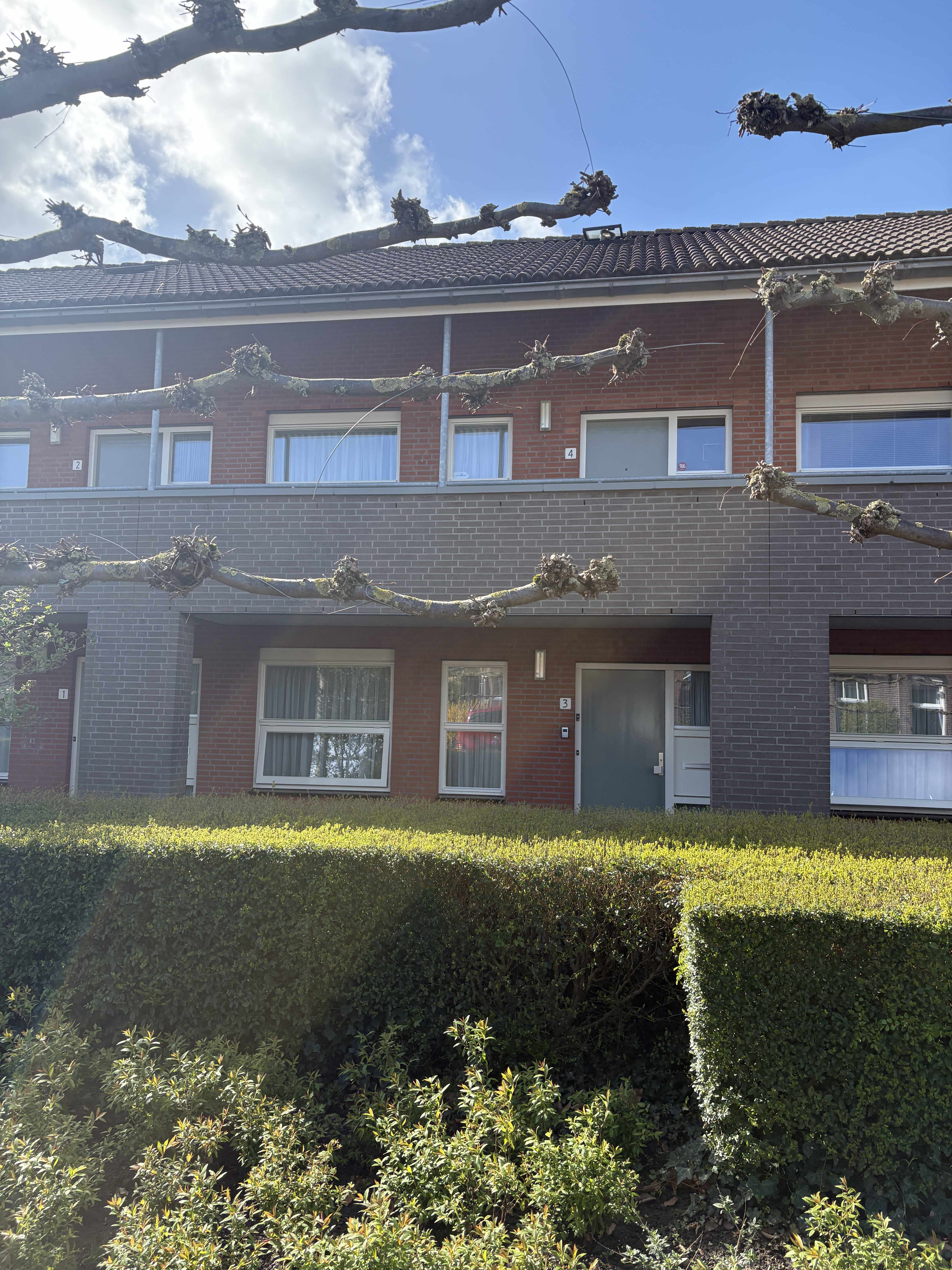 Nieuw Hollenhof 3 - Wamel