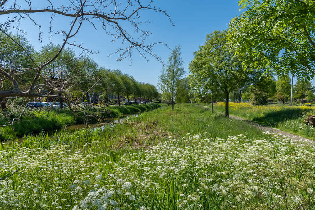 Zwaluwhof 20 - Moordrecht