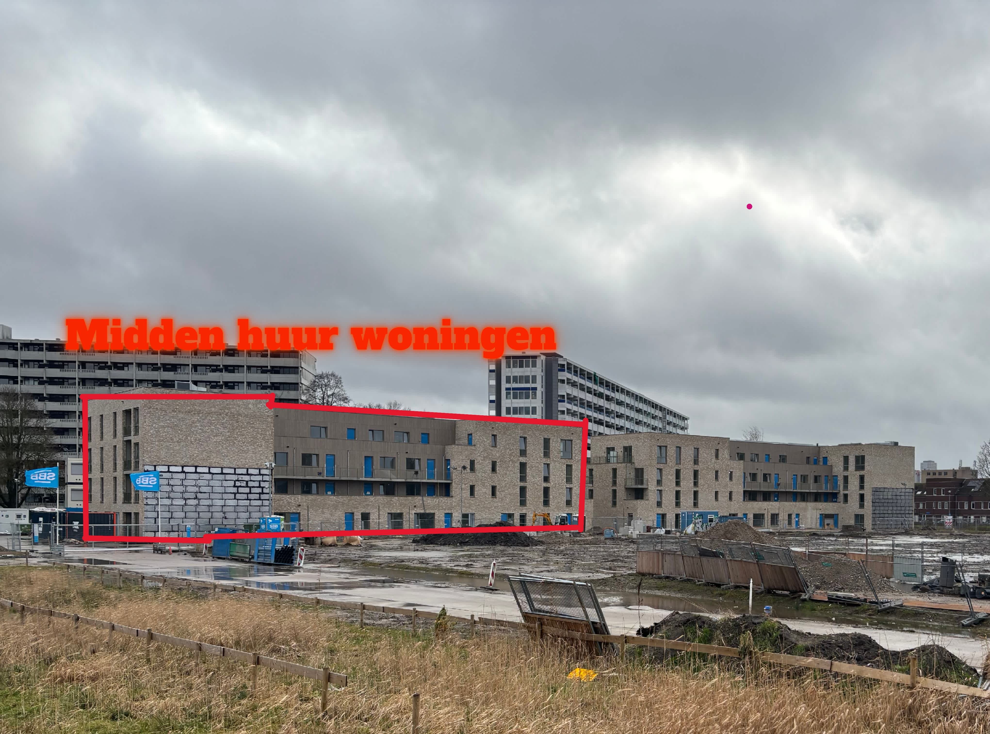 Egellelie 104 - Amsterdam