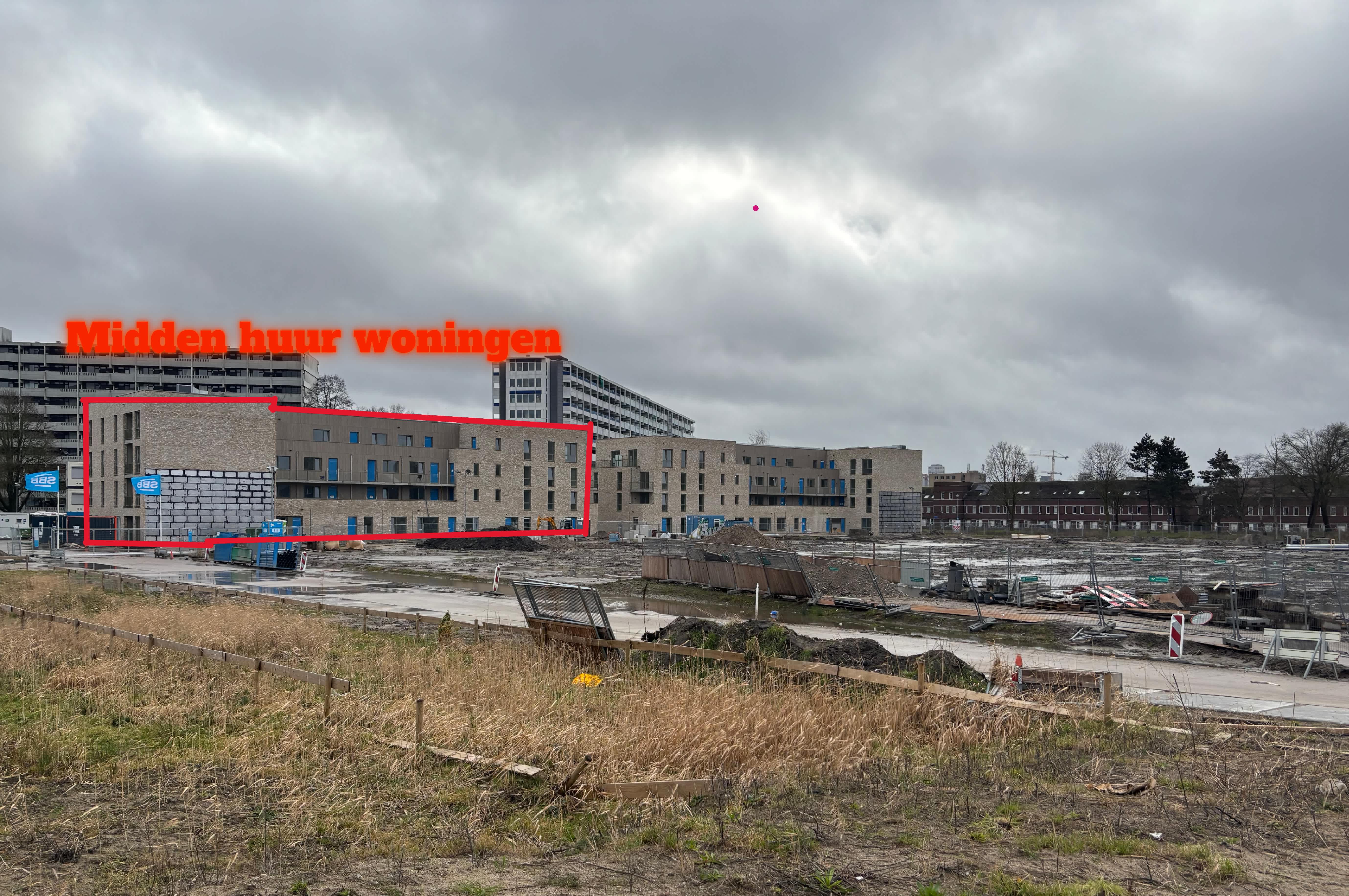 Egellelie 142 - Amsterdam