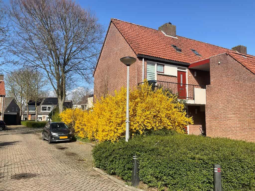 Coreanna 35 - Geldermalsen