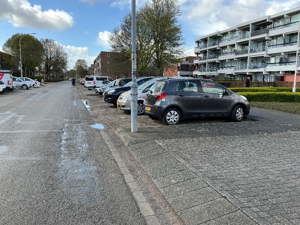 Wadenoijenlaan 140 - Tiel