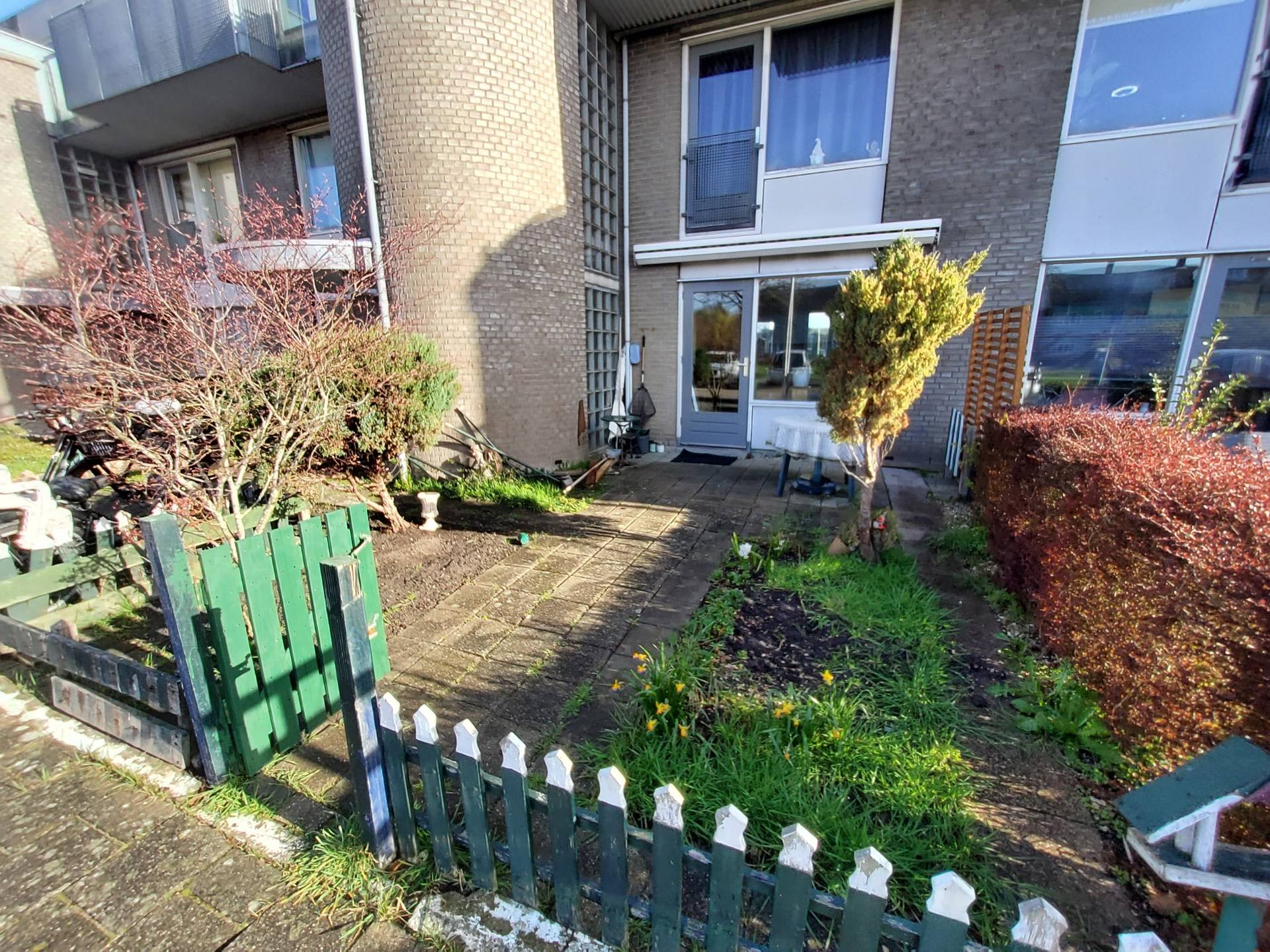 Waterscheerling 13 - Velserbroek