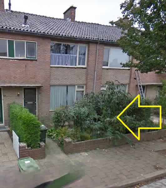 Van Treslongstraat 7 - Huizen