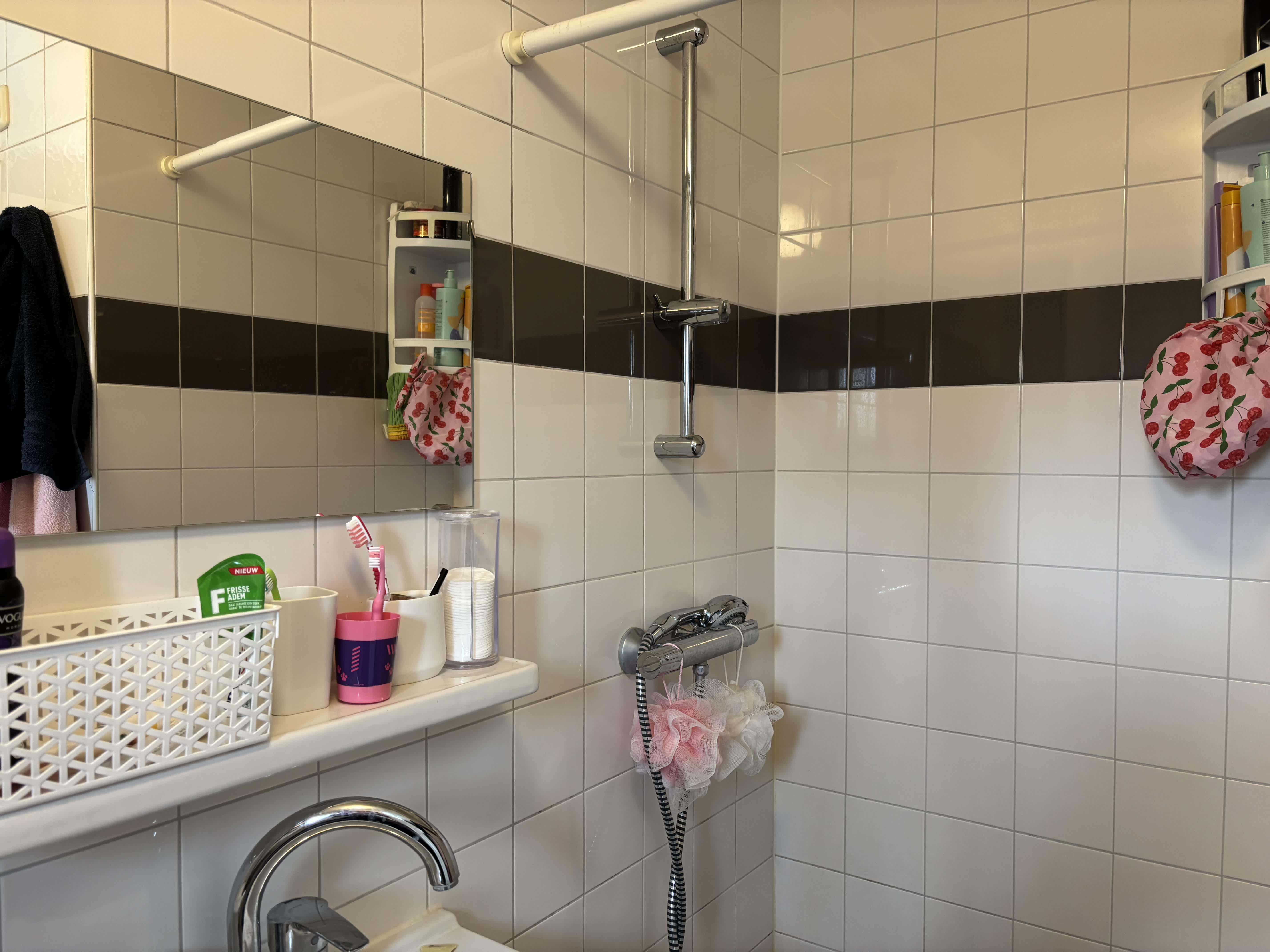 Korenmolen 14 - Mijdrecht