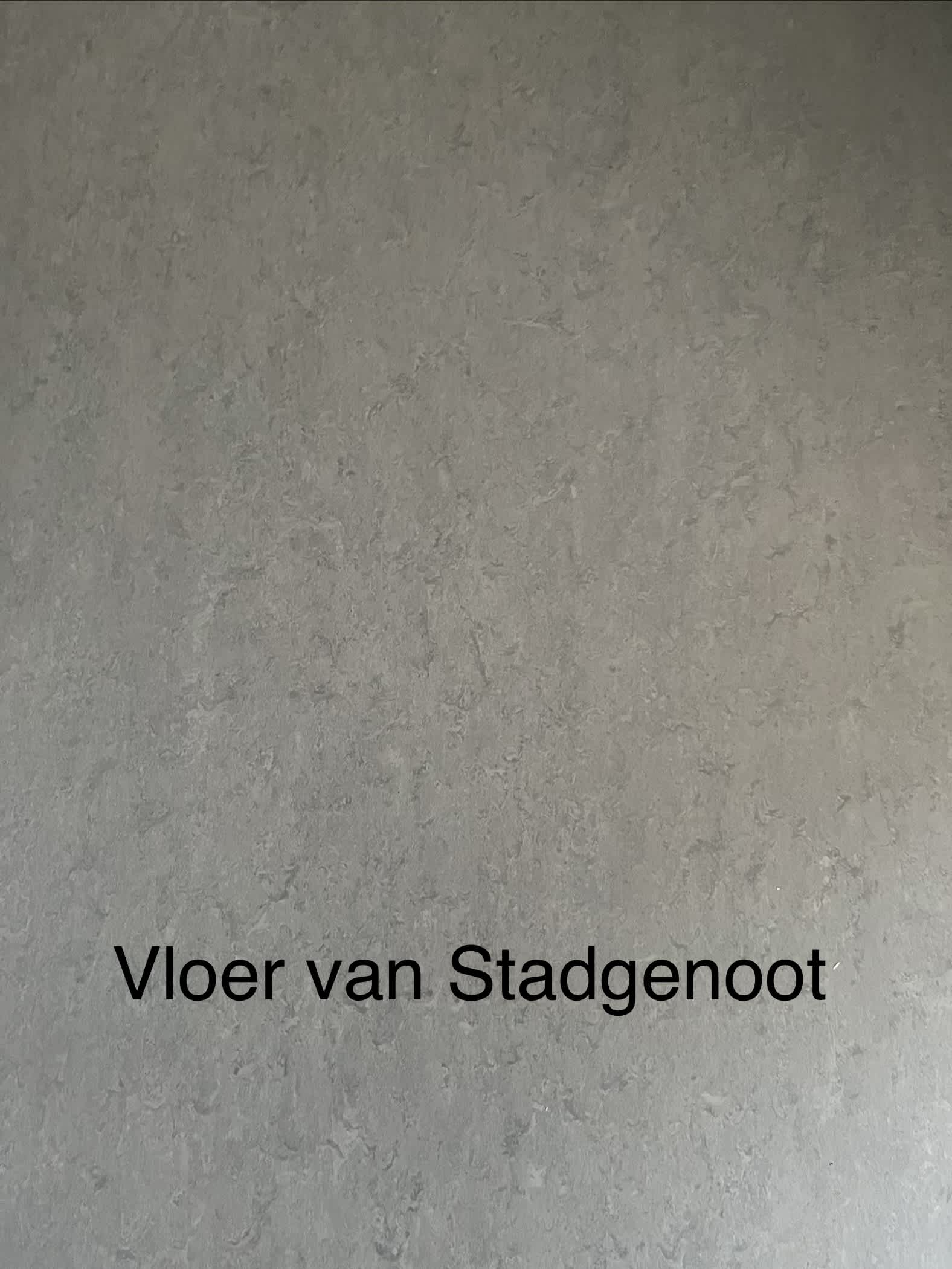 De Leeuw van Vlaanderenstraat 53 - Amsterdam