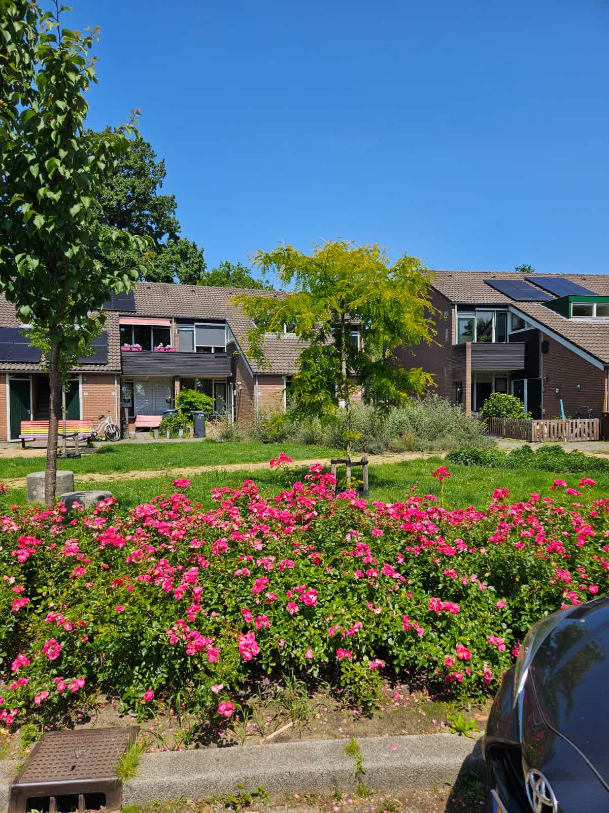 Bloemengaard 49 - Doorn