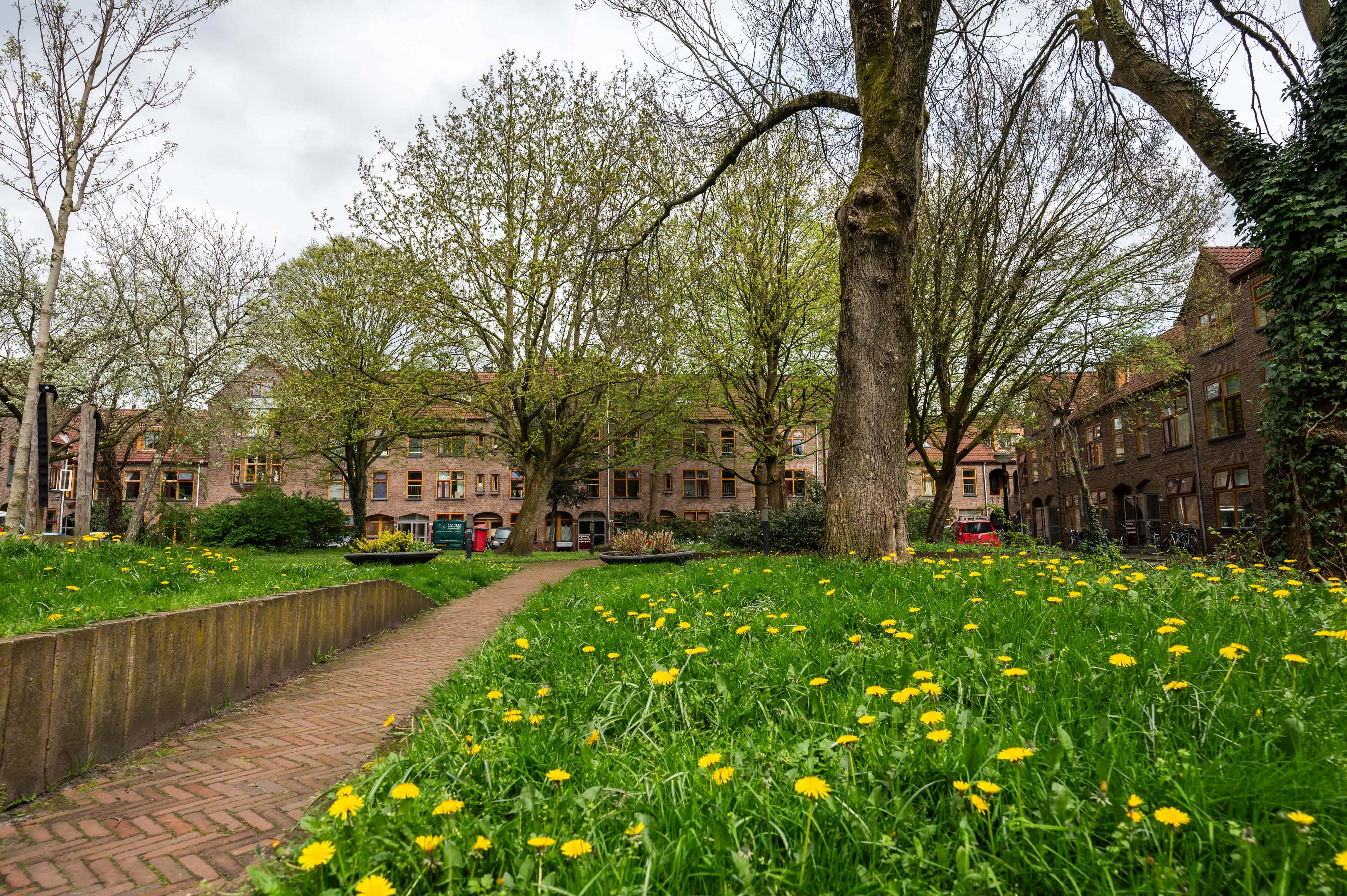 Deliplein 67 - Groningen