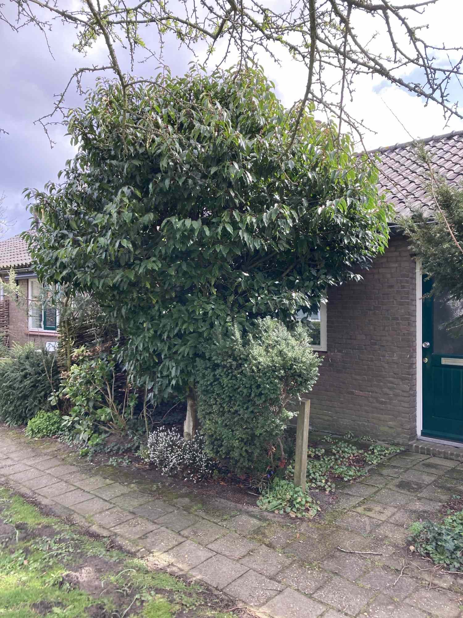 Blinkertlaan 19 - Haarlem