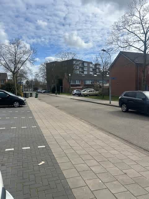 Graan voor Visch 16429 - Hoofddorp