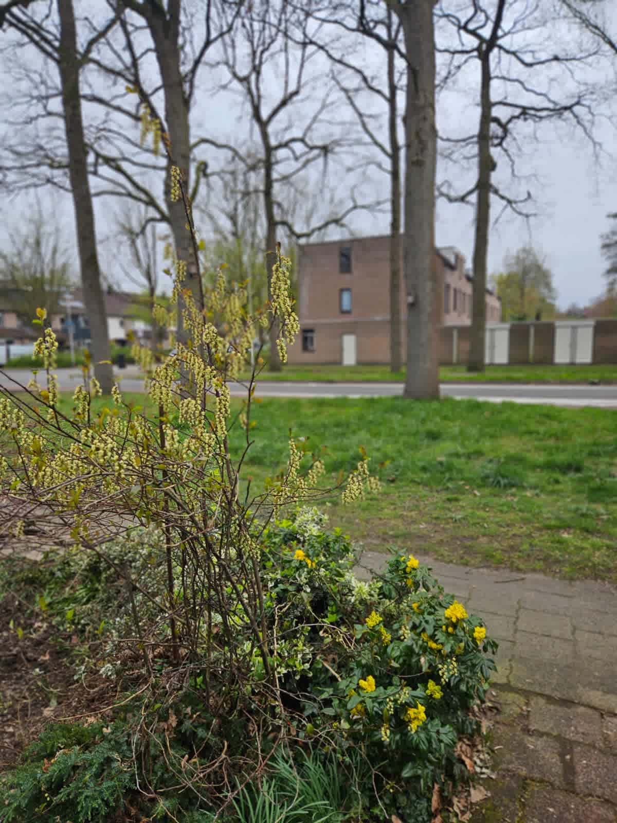 Rijsenburgselaan 93 - Driebergen-Rijsenburg