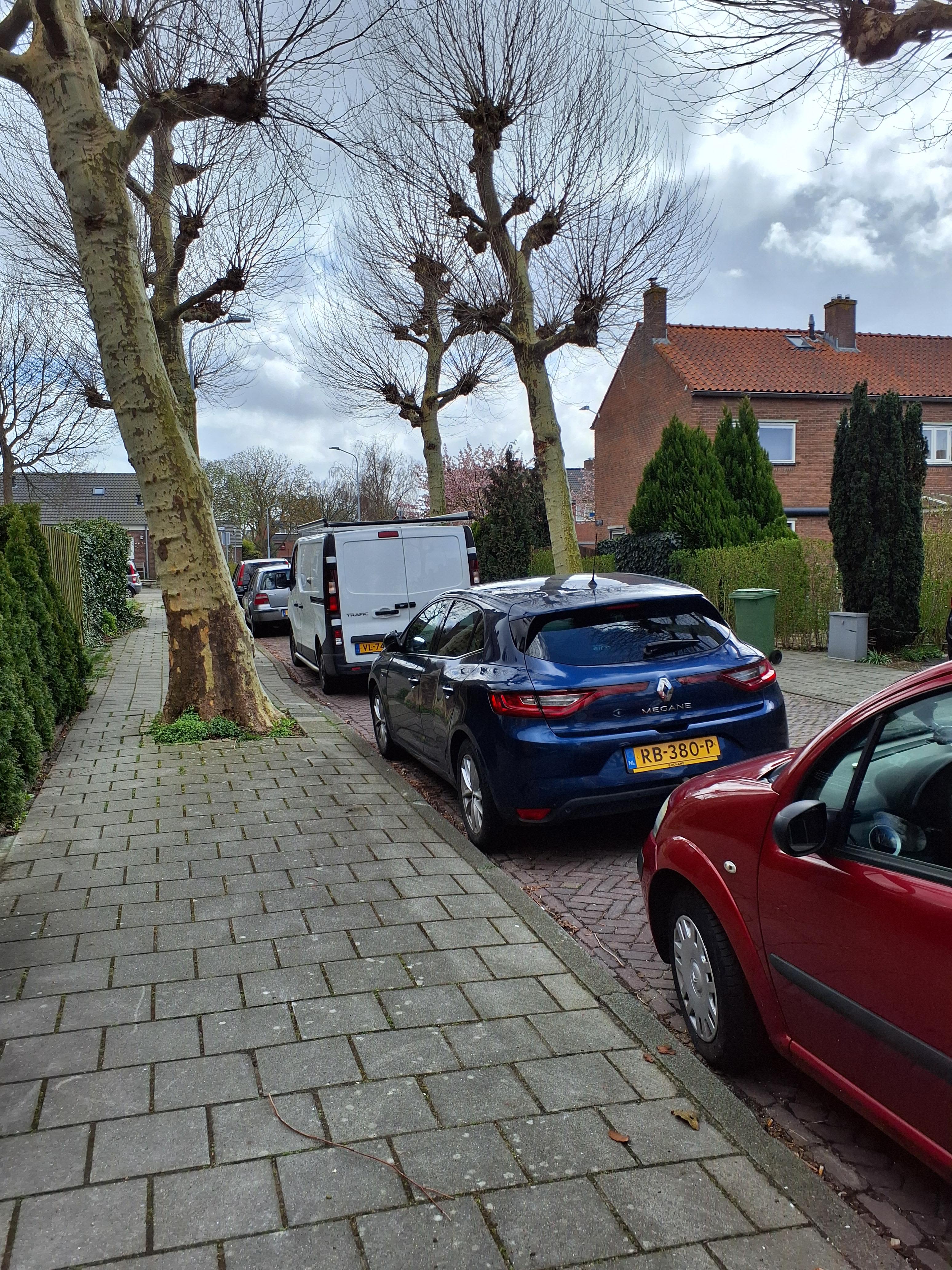 Ibisstraat 60 - Badhoevedorp