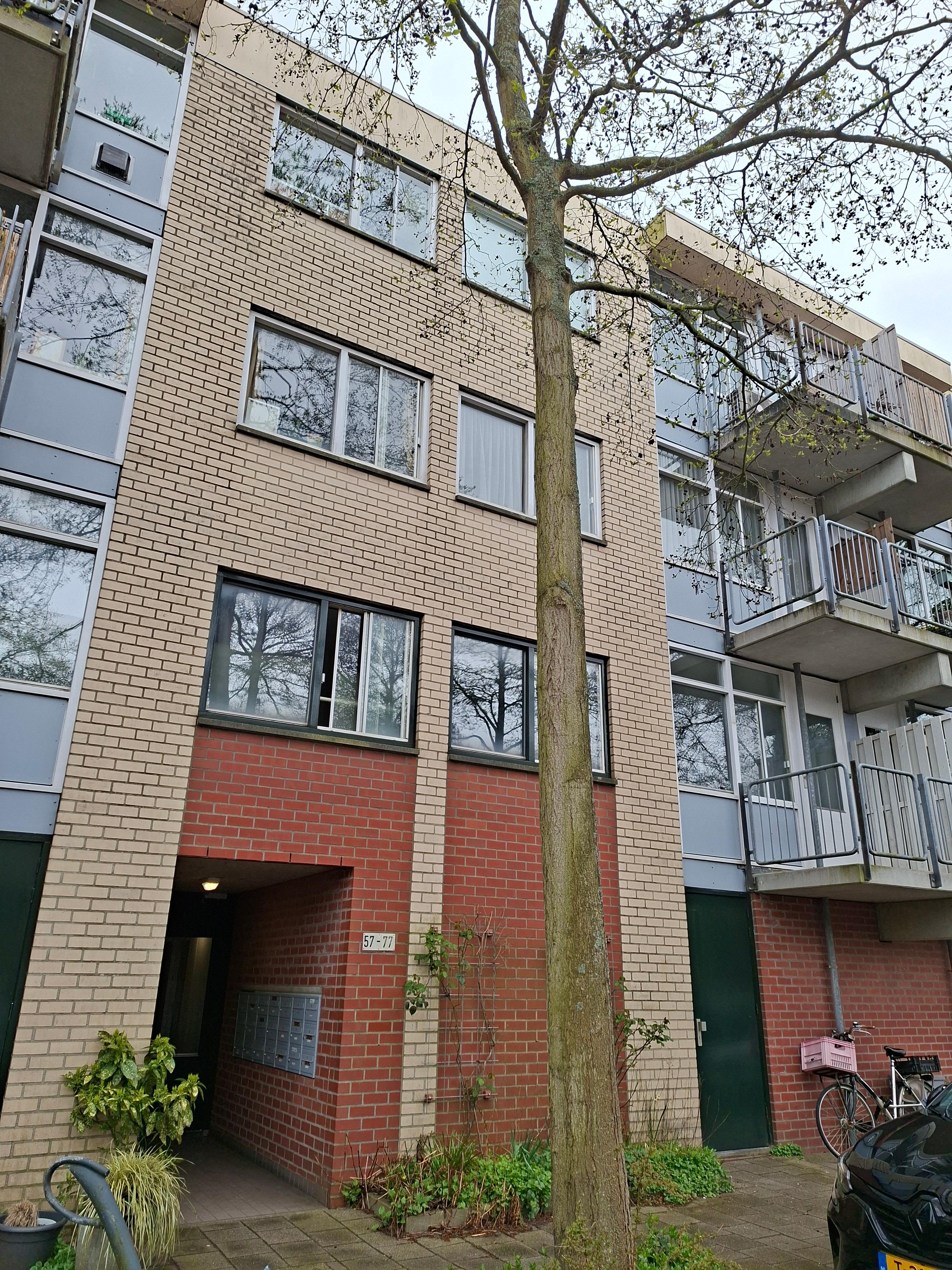 Diaconessenplein 64 - Haarlem