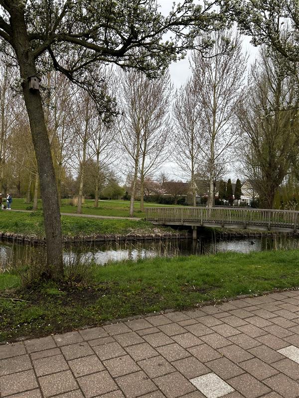 Anna Blamanstraat 3 - Gorinchem