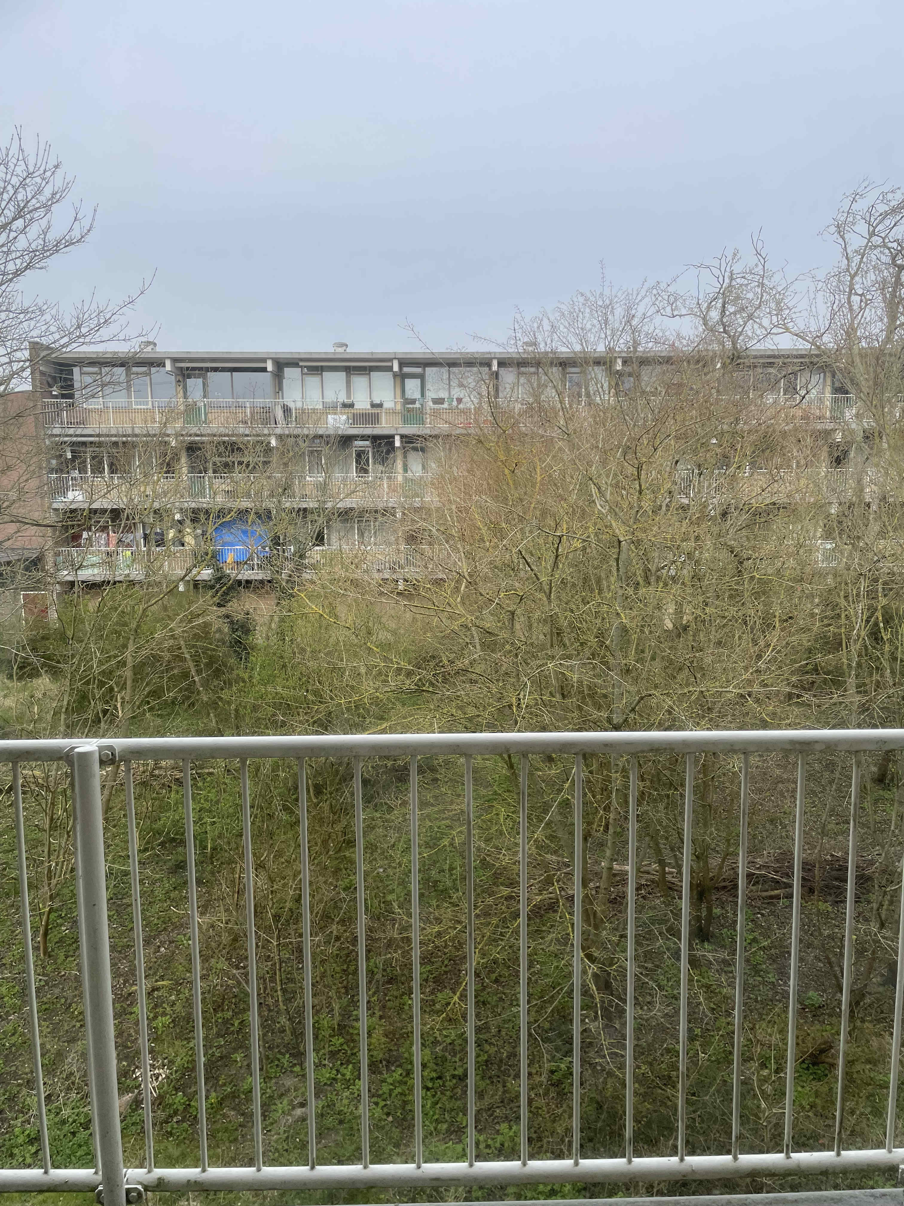 Bramenvlak 15 - IJmuiden