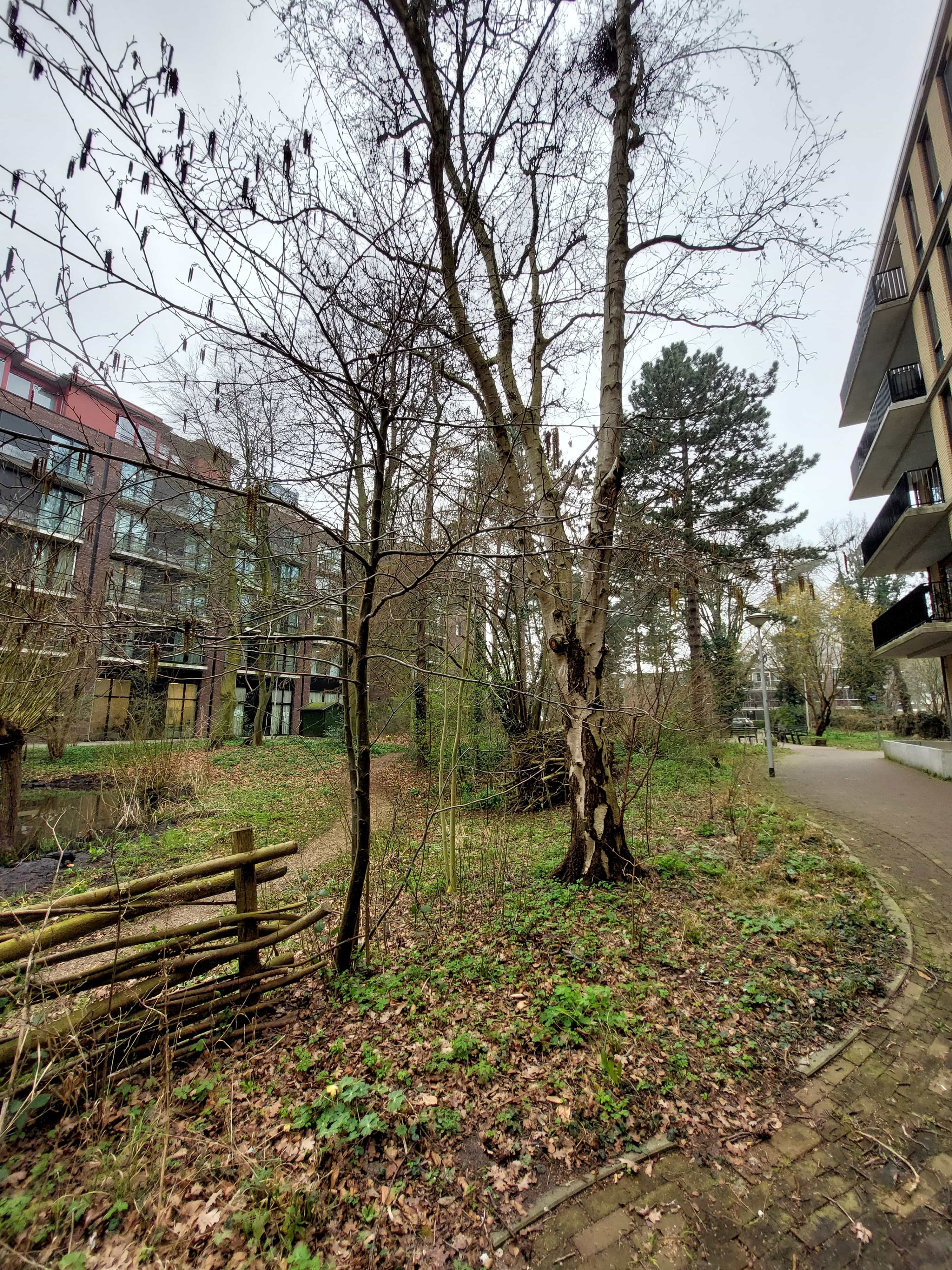 Noorderhaakspad 78 - Amsterdam